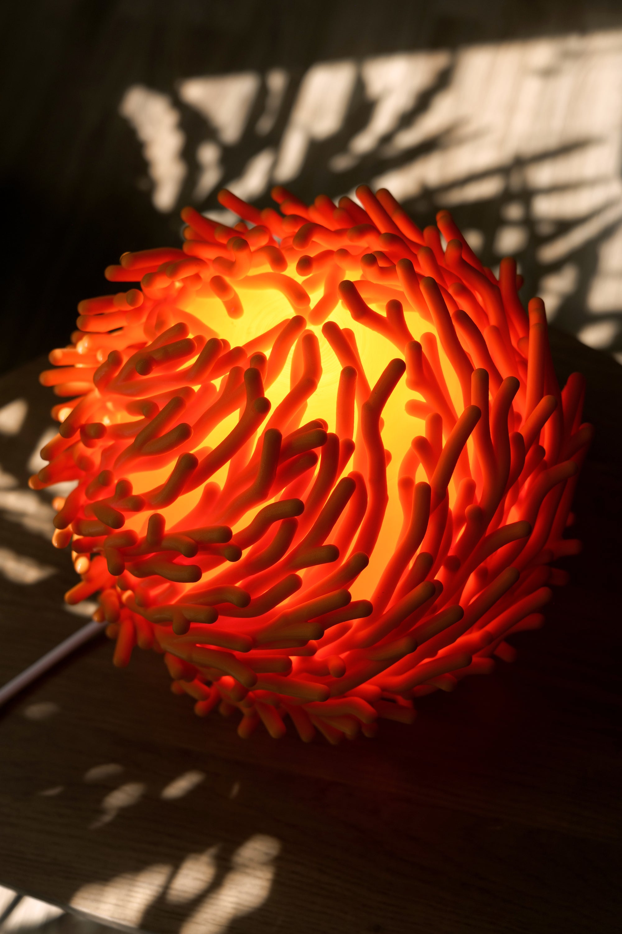 Bloom